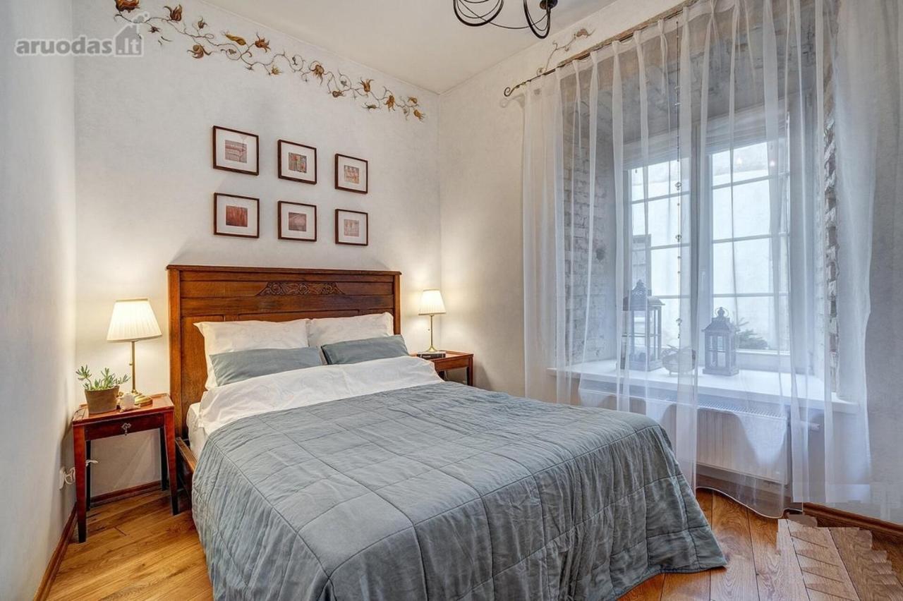 Old Town Saviciaus Street Apartment