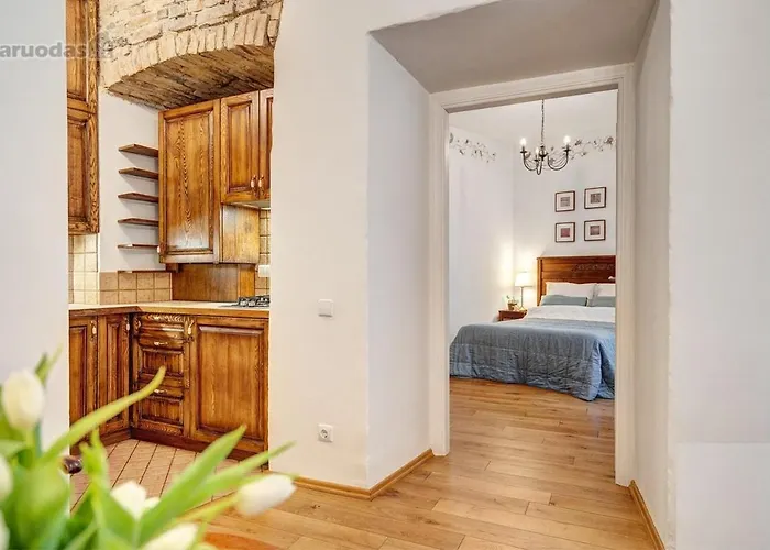 Old Town Saviciaus Street Apartment
